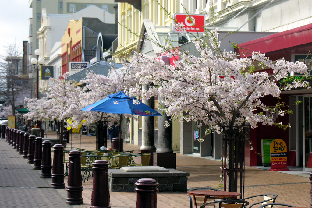 Invercargill: The Southern Gem of New Zealand