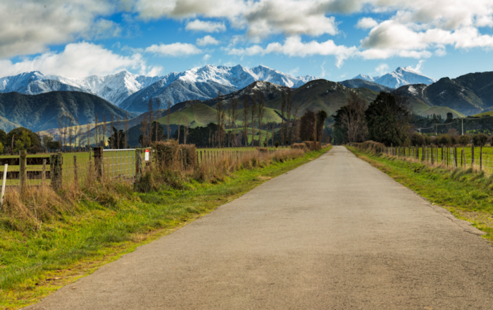 Masterton, New Zealand: A Gateway to Rural Tranquility